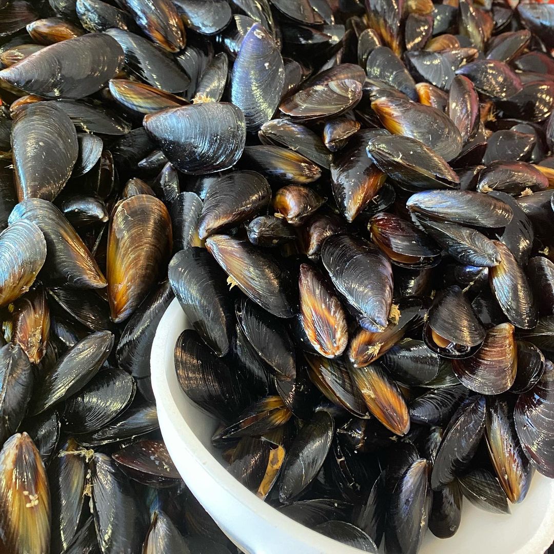 347445875 6557925270907413 1481335669792486645 n - Les moules sont enfin arrivées pour le plaisir des... - Erquy Pléneuf-Val-André