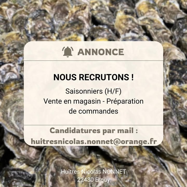 ALERTE RECRUTEMENT IMMINENT 1 1236716084910824 - Accueil - Erquy Pléneuf-Val-André