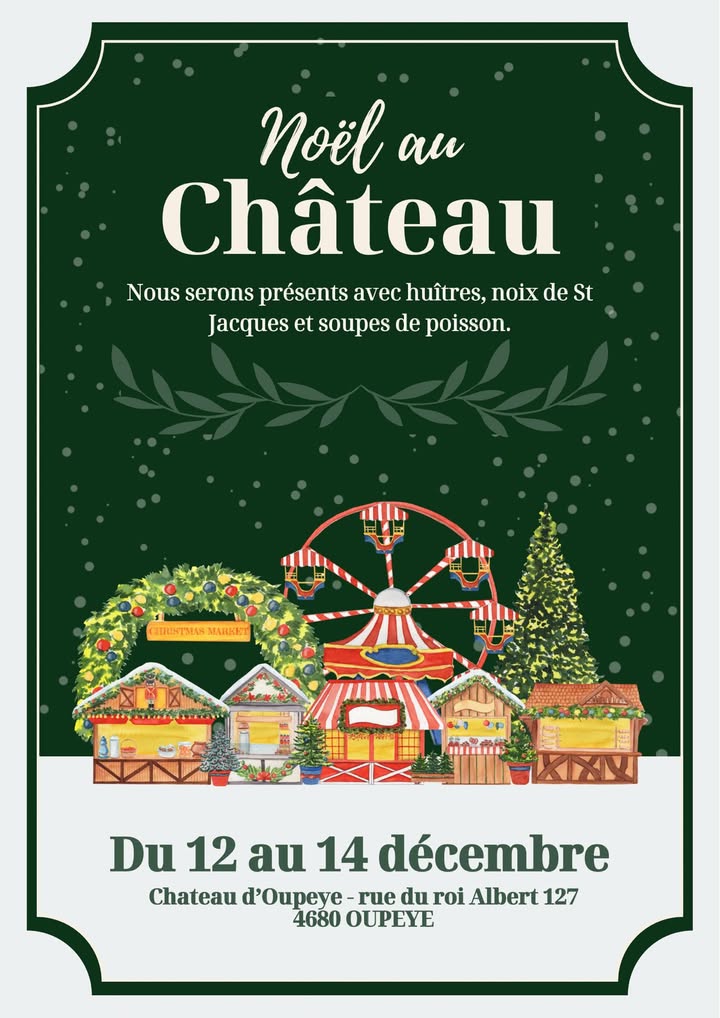 NOEL AU CHATEAU OUPEYE BELGIQUE Comme 1 1351877556728009 - Accueil - Erquy Pléneuf-Val-André NOEL AU CHATEAU OUPEYE BELGIQUE Comme 1 1351877556728009 - Accueil - Erquy Pléneuf-Val-André