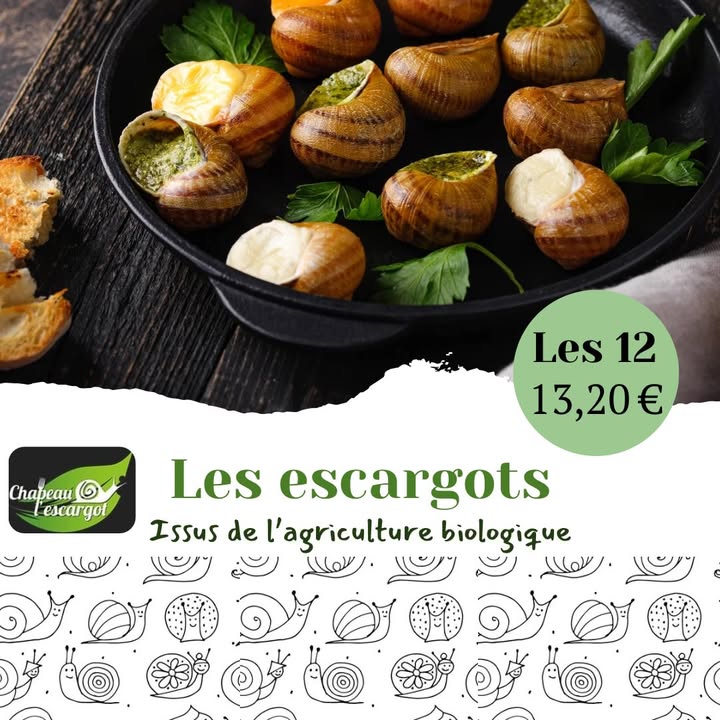 La saison des escargots est ouverte 1 1375446574371107 - Accueil - Erquy Pléneuf-Val-André La saison des escargots est ouverte 1 1375446574371107 - Accueil - Erquy Pléneuf-Val-André