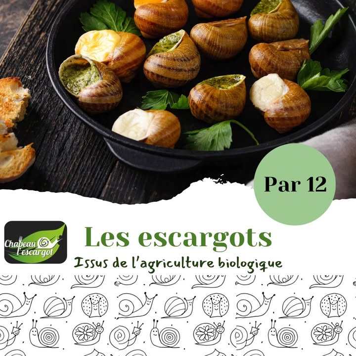 La saison des escargots est ouverte 1 1376696987579399 - Accueil - Erquy Pléneuf-Val-André La saison des escargots est ouverte 1 1376696987579399 - Accueil - Erquy Pléneuf-Val-André