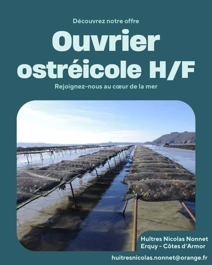 Offre demploi au sein de notre equipe dErquy ️ 1 1393094765939621 - Accueil - Erquy Pléneuf-Val-André Offre demploi au sein de notre equipe dErquy ️ 1 1393094765939621 - Accueil - Erquy Pléneuf-Val-André